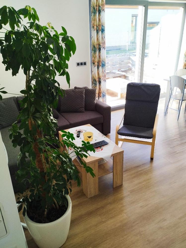 Apartman Dasa Frymburk Exterior foto